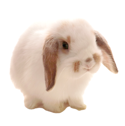 ※お願い※